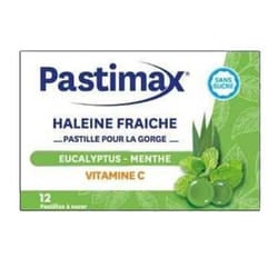 Pastimax Menthe Eucalyptus 12 Pièces