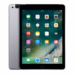 Apple iPad , 24,6 cm (9.7"), 2048 x 1536 pixels, 32 Go, iOS 10, 478 g, Gris