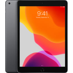 Apple iPad 4G LTE 32 Go 25,9 cm (10.2") iPadOS Gris