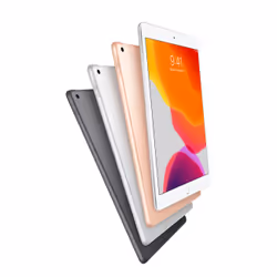 Apple iPad 4G LTE 32 Go 25,9 cm (10.2") iPadOS Gris - Vue supplémentaire 4