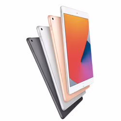 Apple iPad 32 Go 25,9 cm (10.2") 3 Go iPadOS Gris