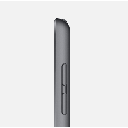 Apple iPad 32 Go 25,9 cm (10.2") 3 Go Wi-Fi 5 (802.11ac) iPadOS Gris
