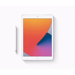 Apple iPad 4G LTE 128 Go 25,9 cm (10.2") iPadOS Argent