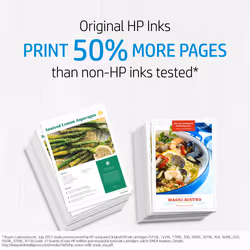 HP Cartouche d'encre noir PageWide 982X grande capacité authentique (T0B30A) - Vue supplémentaire 158