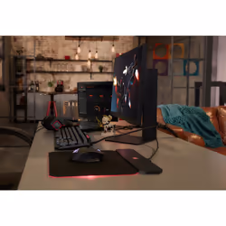 HP OMEN 25 24.5" LED Full HD 1 ms 1 ms