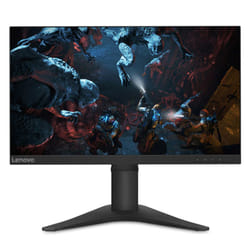 Lenovo G25-10 écran plat de PC 24.5" Full HD LED Noir