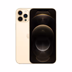 Apple iPhone 12 Pro Max 256Go Gold - Vue supplémentaire 2