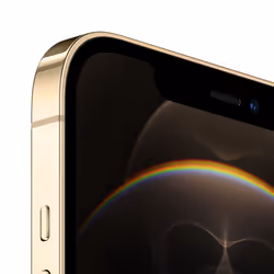 Apple iPhone 12 Pro Max 256Go Gold - Vue supplémentaire 3