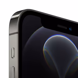 Apple iPhone 12 Pro 256Go Graphite
