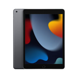 Apple iPad 256 Go 25,9 cm (10.2") Gris
