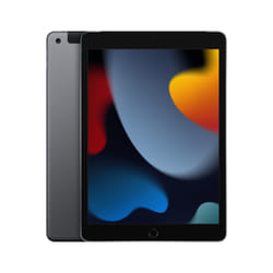 Apple iPad 4G LTE 64 Go 25,9 cm (10.2") Gris