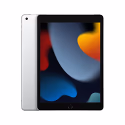 Apple iPad 