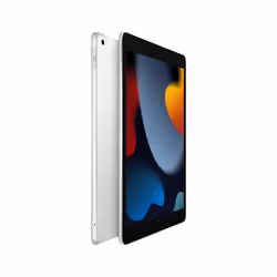 Apple iPad 4G LTE 64 Go 25,9 cm (10.2") Argent
