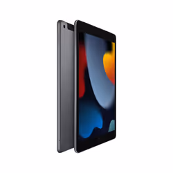 Apple iPad , 25,9 cm (10.2"), 2160 x 1620 pixels, 256 Go, iPadOS 15, 498 g, Gris