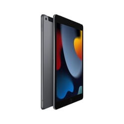 Apple iPad 4G LTE 256 Go 25,9 cm (10.2") Gris