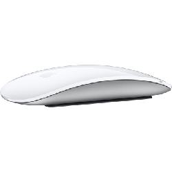 Apple Magic Mouse souris Ambidextre Bluetooth (MK2E3Z/A)