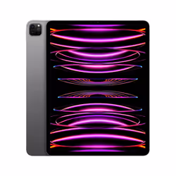 Apple iPad Pro 128 Go Apple M 8 Go Gris