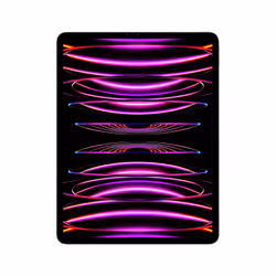 Apple iPad Pro, 32,8 cm (12.9"), 2732 x 2048 pixels, 256 Go, 8 Go, iPadOS 16, Gris