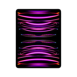 Apple iPad Pro 256 Go Apple M 8 Go Gris
