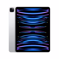 Apple iPad Pro 256 Go Apple M 8 Go Argent - Vue supplémentaire 2