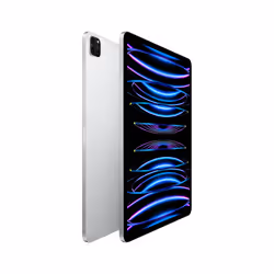 Apple iPad Pro 256 Go Apple M 8 Go Argent - Vue supplémentaire 3
