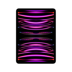 Apple iPad Pro 256 Go Apple M 8 Go Gris