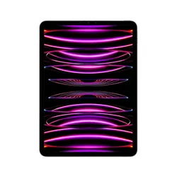 Apple iPad Pro 256 Go Apple M 8 Go Gris