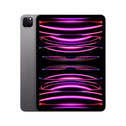Apple iPad Pro 256 Go Apple M 8 Go Gris