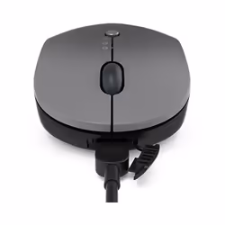 Lenovo Go Multi-Device souris Ambidextre RF Sans fil + Bluetooth Optique 2400 DPI