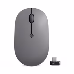 Lenovo Go USB-C Wireless Mouse, Ambidextre, Optique, RF sans fil, 2400 DPI, Gris