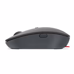 Lenovo Go USB-C Wireless Mouse souris Ambidextre RF sans fil Optique 2400 DPI