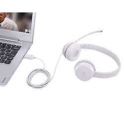 Lenovo GXD1E71385, Avec fil, Appels/Musique, 137 g, Casque, Gris