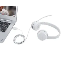 Écouteur Casque Fil USB Type-A Gris Lenovo GXD1E71385 - Appels/Musique Poignet