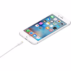 Apple Câble Lightning vers USB (1 m) - Vue supplémentaire 2