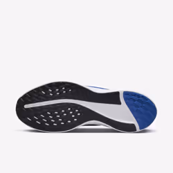 Nike DD0204-401 Chaussure d'athlétisme Mâle 44