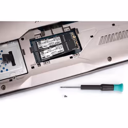 Crucial P1 M.2 1000 GB PCI Express 3.0 NVMe (CT1000P1SSD8)