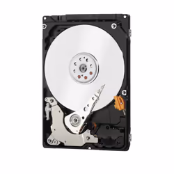 Western Digital Blue PC Mobile 2.5" 500 Go Série ATA III (WD5000LPCX)