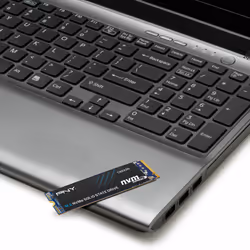500Go M.2 NVMe Gen3 - CS2230 - Vue supplémentaire 6