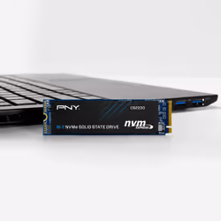 PNY CS2230 M.2 1 To PCI Express 3.0 3D NAND NVMe - Vue supplémentaire 4
