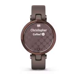 Garmin Lily Classic LCD 34.5 mm Bronze GPS (satellite) - Vue supplémentaire 3