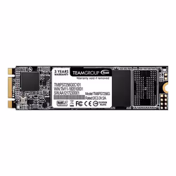 Team Group MS30, 256 Go, M.2, 550 Mo/s, 6 Gbit/s