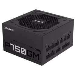 Gigabyte P750GM unité d'alimentation d'énergie 750 W 20+4 pin ATX ATX Noir (GP-P750GM)