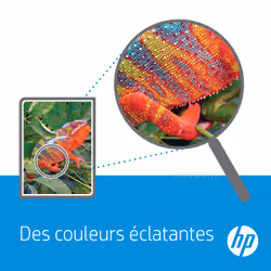 HP 49X Cartouche de toner 2 pièce(s) Original Noir - Vue supplémentaire 2