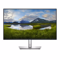 DELL P Series P2425H