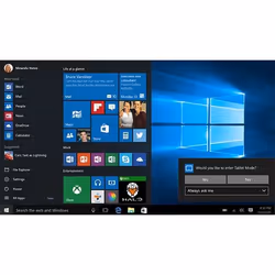 Windows Professional 10 64Bit English Intl 1pk DSP OEI DVD (FQC-08929)