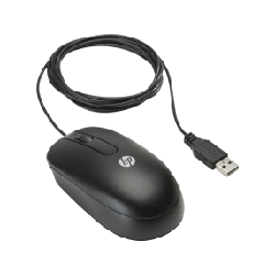 HP Souris USB à molette optique (lot de 100)