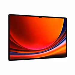 Samsung Galaxy Tab S9 Ultra SM-X910N 256 Go 37,1 cm (14.6") Qualcomm Snapdragon 12 Go Wi-Fi 6 (802.11ax) Android 13 Graphite