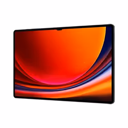 Samsung Galaxy Tab S9 Ultra SM-X910N 256 Go 37,1 cm (14.6") Qualcomm Snapdragon 12 Go Wi-Fi 6 (802.11ax) Android 13 Graphite - Vue supplémentaire 4