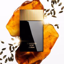 TOM FORD Noir Extreme Hommes 100 ml - Vue supplémentaire 2