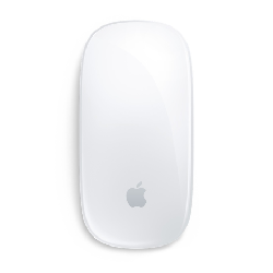 Apple Magic Mouse 2 souris Ambidextre Bluetooth